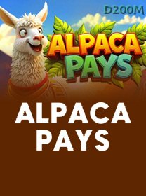 Alpaca Pays icon