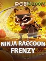 Ninja Raccoon Frenzy icon